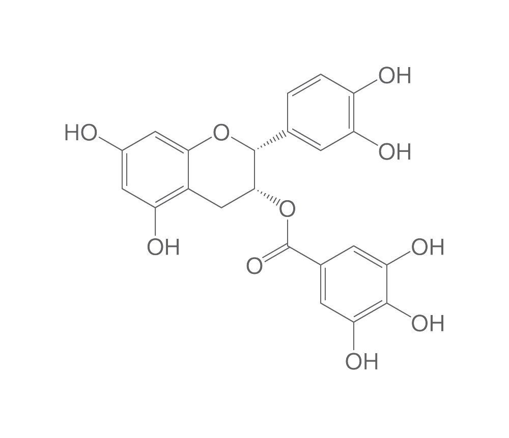 (-)-Epicatechin gallate, ROTICHROM® HPLC, 10 mg, glass