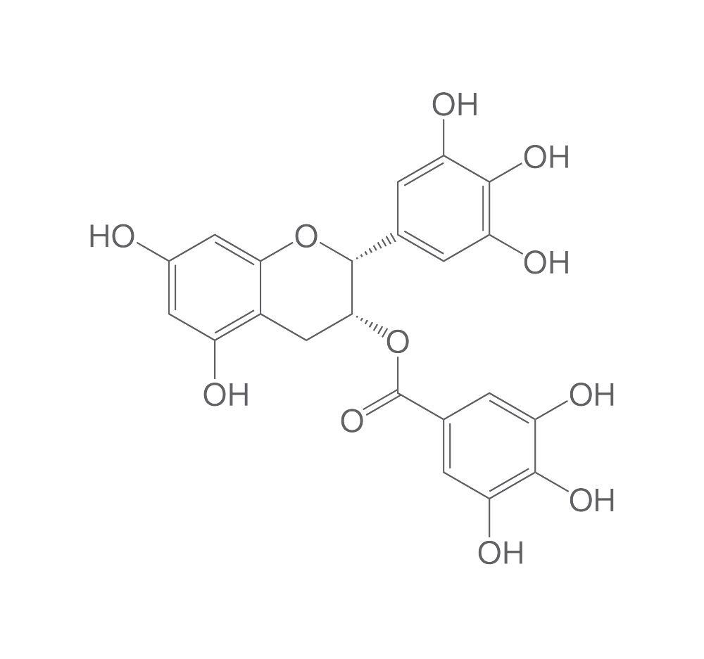 (-)-Epigallocatechin gallate, ROTICHROM® HPLC, 10 mg, glass
