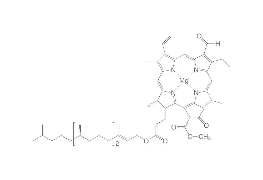 Chlorophyll B, ROTICHROM® CHR, 5 mg, glass