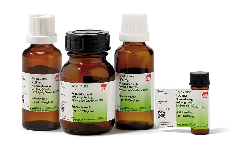 Ribonuclease A, 90 U/mg (Kunitz), BioScience-Grade, free from salt, 500 mg — Carl Roth, cod 7156.2