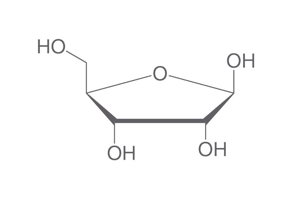 D(-)-Ribose, min. 98 %, for biochemistry, 25 g, plastic