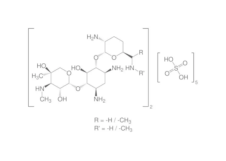 Sulfat de gentamicină, min. 590 U.I./mg, pentru biochimie, 10 g, sticlă — Carl Roth, cod 0233.3