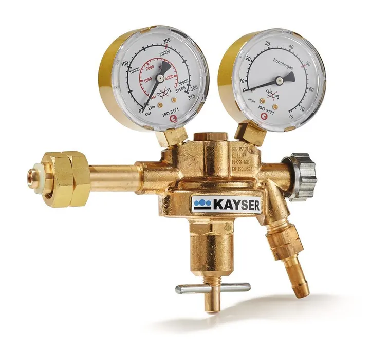 Regulator de presiune pentru butelie, cu o singură treaptă, alamă, tip de gaz gaz de formare, 0-50 l/min — Carl Roth, cod 0289.1