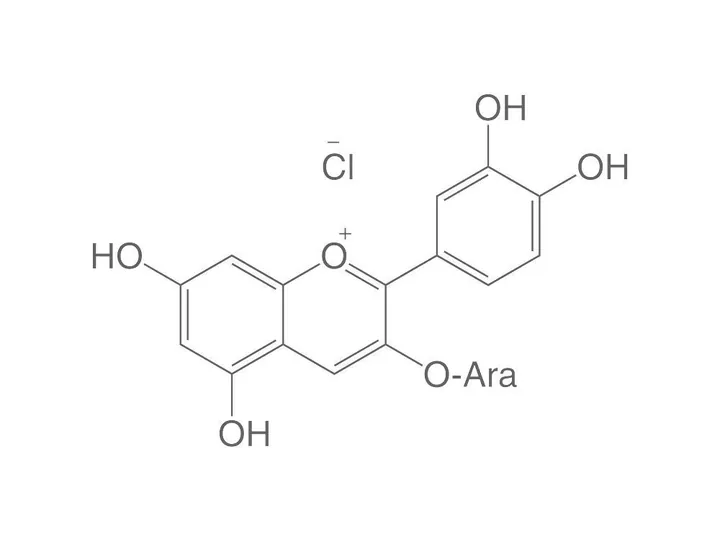 Clorură de cianidin-3-arabinozidă, ROTICHROM® HPLC, 10 mg, sticlă — Carl Roth, cod 0641.1