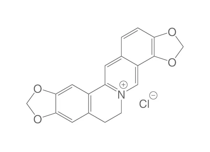 Coptisin, ROTICHROM® HPLC, 10 mg, sticlă — Carl Roth, cod 1131.1