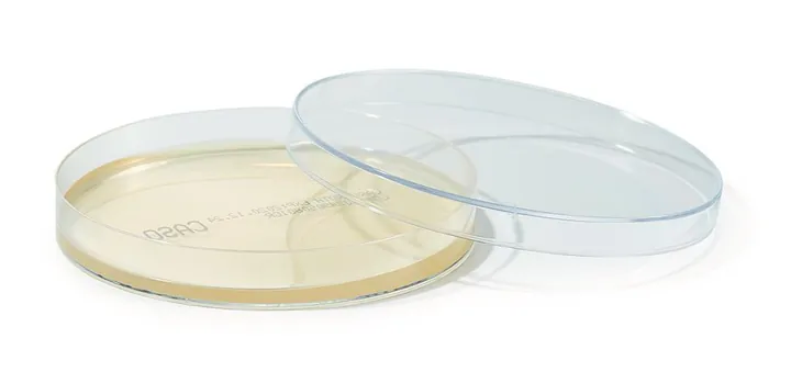 ROTI®Plate90 CASO, gata de utilizare, steril, 10 bucăți, cutie — Carl Roth, cod 1ATX.1