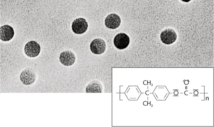 Filtre cu membrană PC, 0.2 µm, 50 mm, 100 buc. — Carl Roth, cod 1C16.1