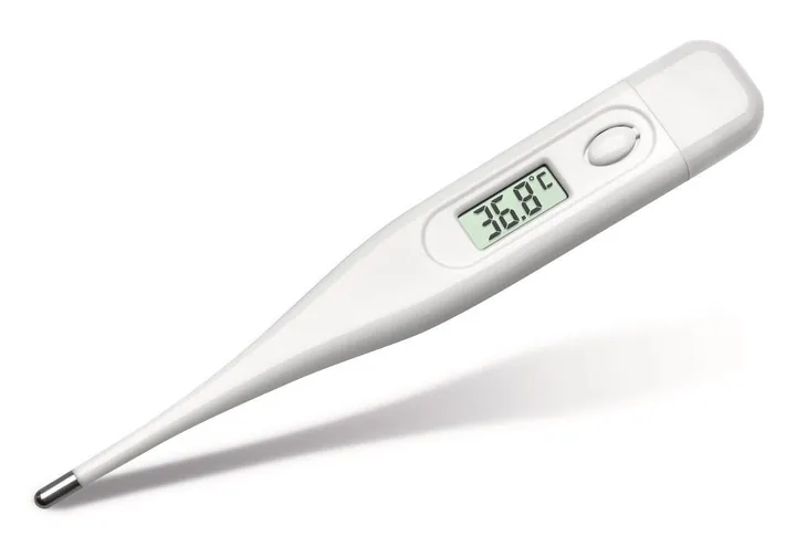 Termometru medical, electronic, 1 buc. — Carl Roth, cod 1C5T.1