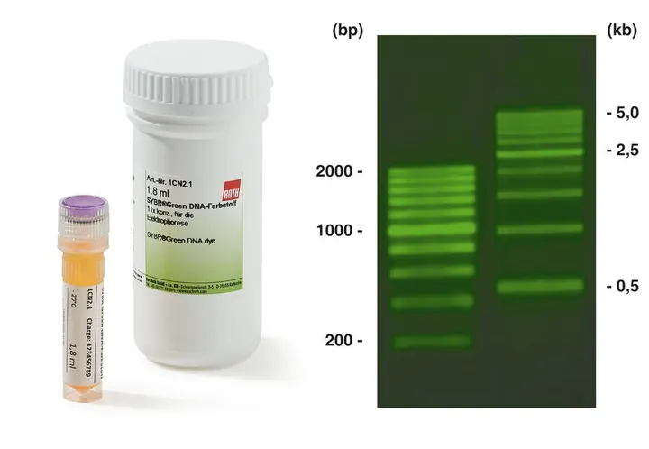 Colorant ADN BrightGreen, pentru electroforeză, gata de utilizare, 9.0 ml, plastic — Carl Roth, cod 1CN2.2