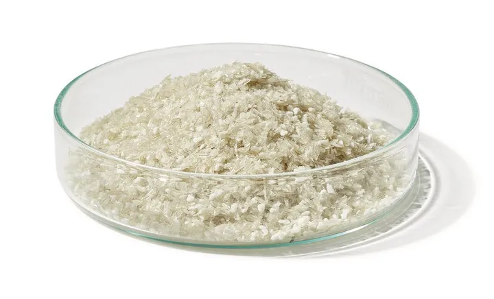 Albumină serică bovină (BSA) Fracția V, Origine NZ, 1 g, >=98 %, fără acizi grași — Carl Roth, cod 1ETC.1