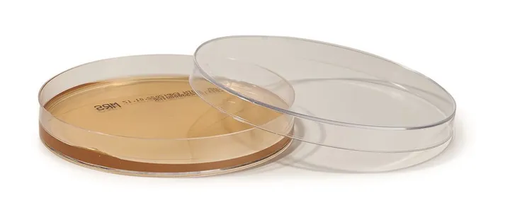 ROTI®Plate90 MRS, EN ISO 11133, pentru microbiologie, 10 unități, cutie — Carl Roth, cod 1K26.1