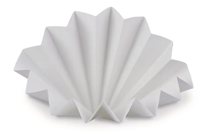 bondEX Filtre pliate XL, Filtru pentru set bondEX 50, 50 unitate(ăți) — Carl Roth, cod 1LCC.1