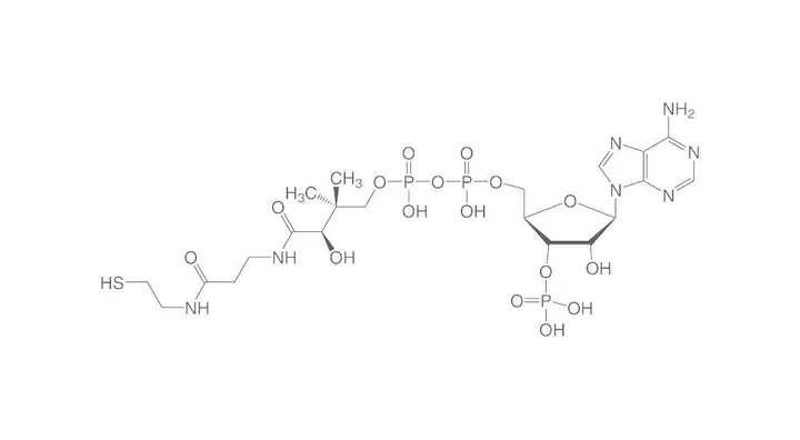 Coenzima A hidrat, min. 85 %, pentru biochimie, 10 mg, sticlă — Carl Roth, cod 1T9K.1