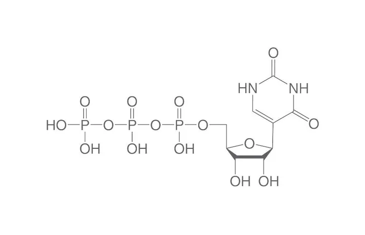Pseudouridină-5'-trifosfat, ≥95 %, 50 µl, plastic — Carl Roth, cod 1Y59.2