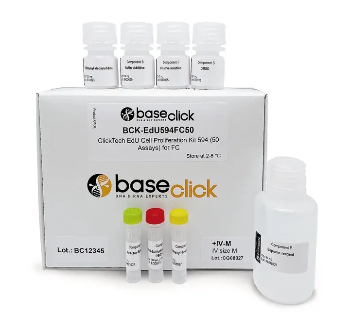 ClickTech EdU Cell Proliferation Kit 488 in vivo, L (1000 mg EdU suplimentar) — Carl Roth, cod 1Y6C.3