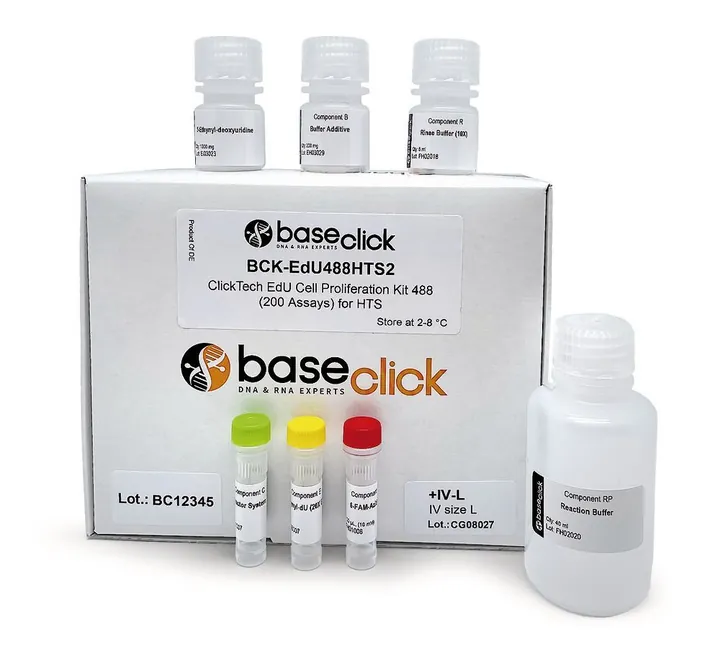 ClickTech EdU Cell Proliferation Kit 488 in vivo, M (500 mg EdU suplimentar) — Carl Roth, cod 1Y7H.2