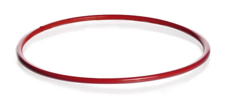 Inel de etanșare cu flanșă plată, DURAN®, DN100,, Silicon/FEP, 1 unit(s) — Carl Roth, cod 201X.1