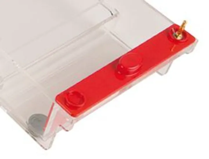 ROTIPHORESE® PROfessional I, Electrod pozitiv, 1 bucată — Carl Roth, cod 2767.1