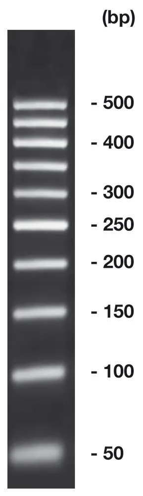 50 bp-ADN-Ladder,, gata de utilizare, neprecolorat, 500 µl, plastic — Carl Roth, cod 2810.1