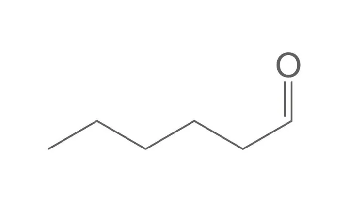 Aldehidă capronică, min. 97 %, pentru sinteză, 100 ml, sticlă — Carl Roth, cod 3327.1