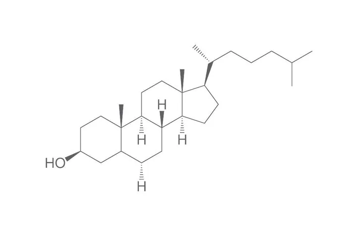 5-alfa-Colestan-3beta-ol, min. 95 %, 10 g, sticlă — Carl Roth, cod 3400.3
