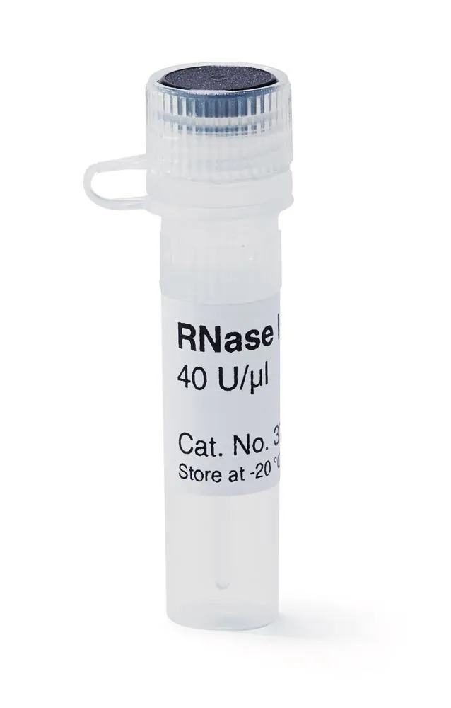Inhibitor de RNAză, 40 U/µl, pentru Biochimie și Biologie Moleculară, 50 µl — Carl Roth, cod 3727.1