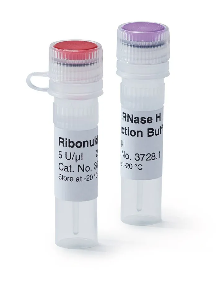 Ribonuclează H, 5 U/µl, pentru Biologie Moleculară, 250 µl, plastic — Carl Roth, cod 3728.2