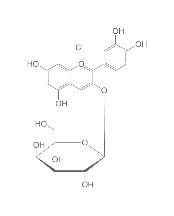Clorură de idaeină, ROTICHROM® HPLC, 5 mg, sticlă — Carl Roth, cod 3967.1