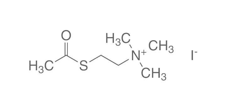 Iodură de acetiltiocolină, min. 99 %, pentru biochimie, 10 g, sticlă — Carl Roth, cod 4001.3