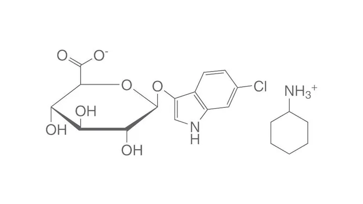 Sare de ciclohexilamoniu a acidului 6-cloro-3-indoxil-β-D-glucuronic, 50 mg, >=98 % — Carl Roth, cod 4057.2