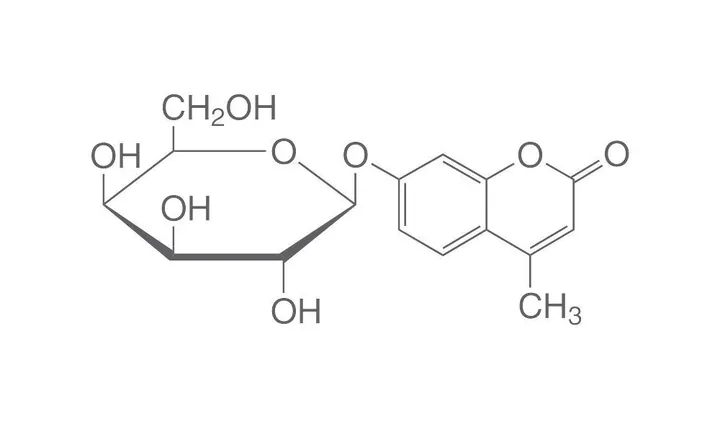 4-Metilumbeliferil-beta-D-, galactopiranozidă, pentru biochimie, 5 g, sticlă — Carl Roth, cod 4084.3