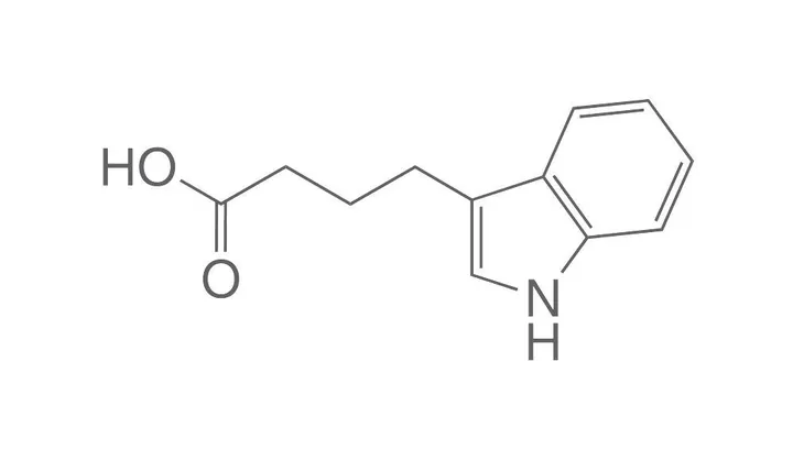 Acid indol-3-butiric, min. 99 %, pentru biochimie, 25 g, sticlă — Carl Roth, cod 4143.2