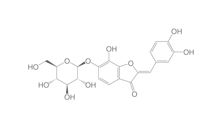 Maritimeină, ROTICHROM® HPLC, 5 mg, plastic — Carl Roth, cod 4172.1