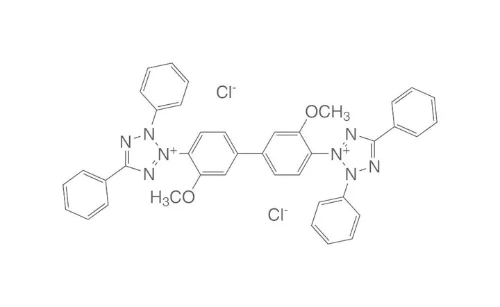 Clorură de albastru de tetrazoliu, min. 95 %, pentru biochimie, 5 g, sticlă — Carl Roth, cod 4176.2
