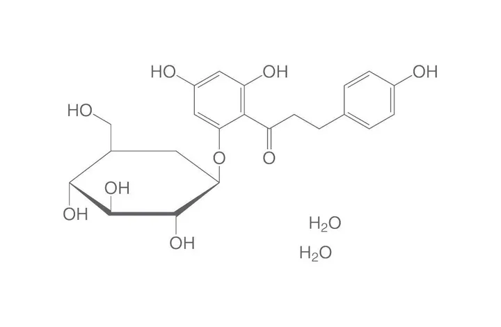Florizină dihidrat, min. 98 %, pentru biochimie, 10 g, plastic — Carl Roth, cod 4196.2