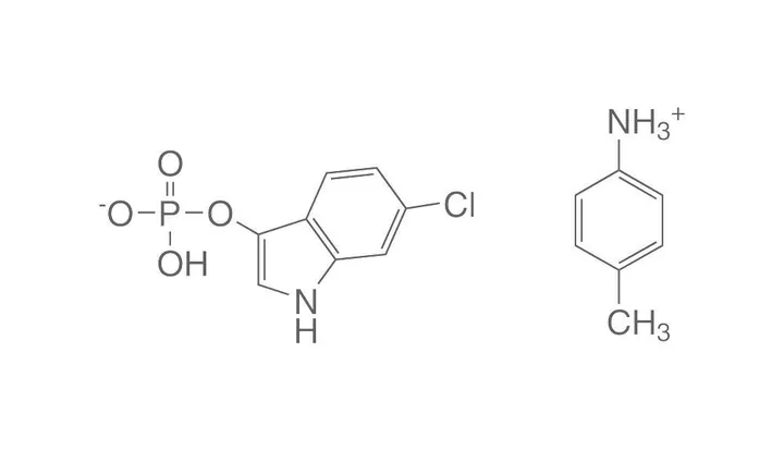 Sare de p-toluidină a 6-cloro-3-indoxil fosfatului, 50 mg, >=98 %, pentru biochimie — Carl Roth, cod 4247.1