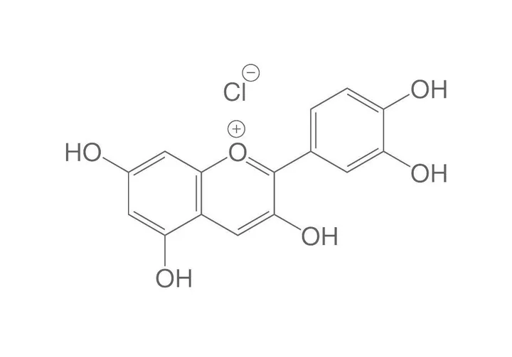 Clorură de cianidină, ROTICHROM® HPLC, 20 mg, sticlă — Carl Roth, cod 4545.1