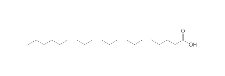 Acid arahidonic, >99 %, 1 g, sticlă — Carl Roth, cod 4717.3