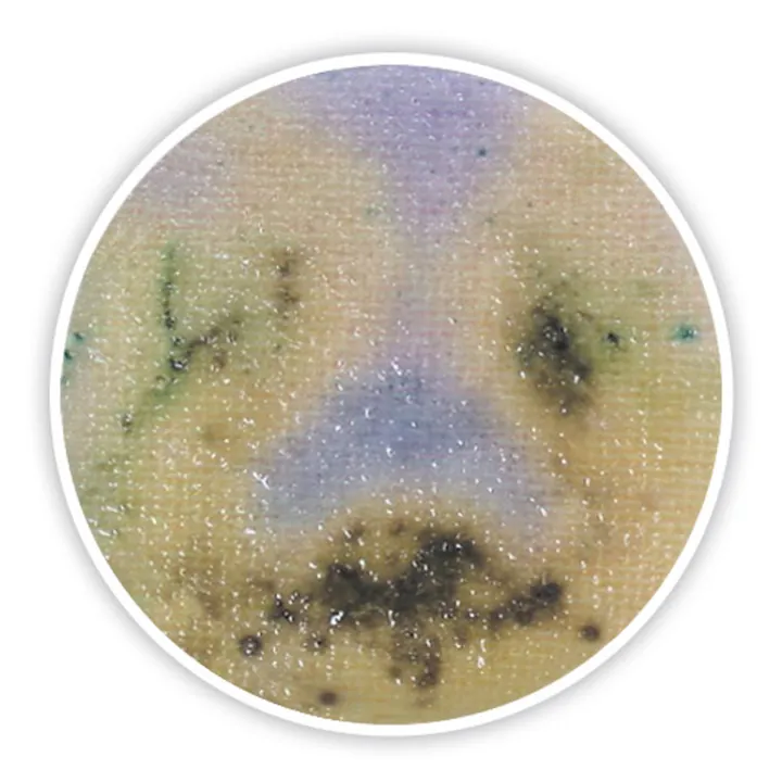 Compact Dry SL, steril, pentru microbiologie, 240 unități, blister — Carl Roth, cod 4817.2