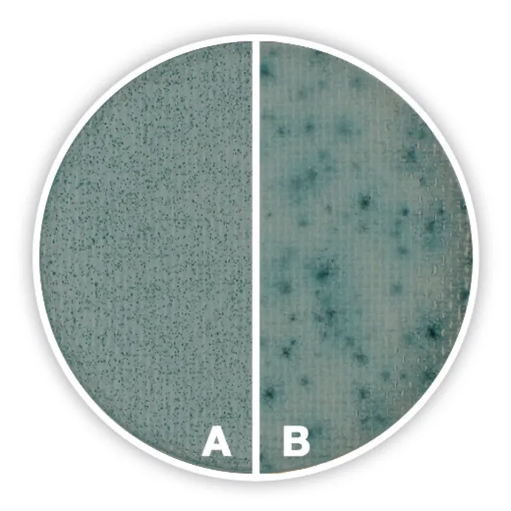 Compact Dry YM, steril, pentru microbiologie, 40 unități, blister — Carl Roth, cod 4818.1