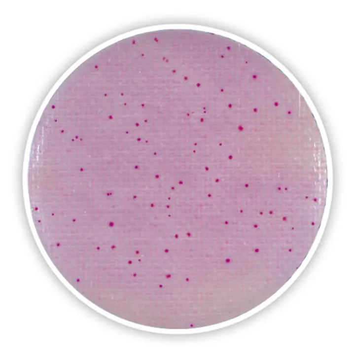 Compact Dry ETB, steril, pentru microbiologie, 240 unități, blister — Carl Roth, cod 4828.2