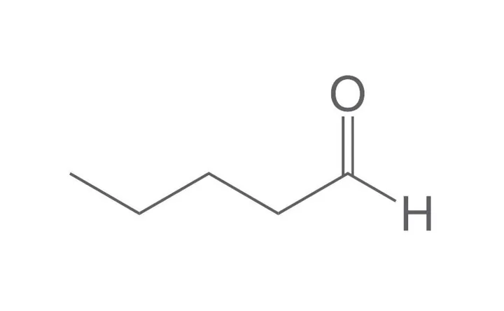 n-Valeraldehidă, min. 96,5 %, 100 ml, sticlă — Carl Roth, cod 4873.1