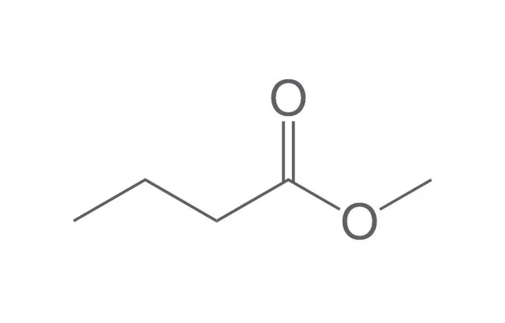 Ester metilic al acidului butiric, ROTICHROM® GC, 1 g, plastic — Carl Roth, cod 5186.1