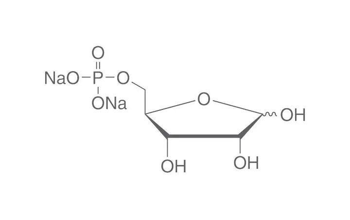 D-Ribozo-5-fosfat sare disodică, min. 85 %, pentru biochimie, 1 g, sticlă — Carl Roth, cod 5253.2