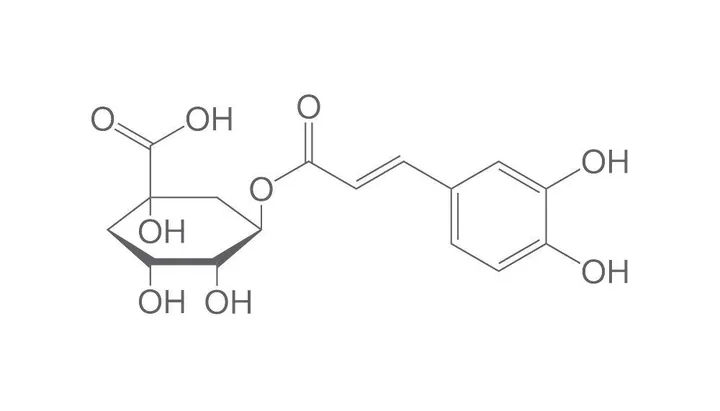 Acid clorogenic, ROTICHROM® CHR DC, 50 mg, sticlă — Carl Roth, cod 5558.1