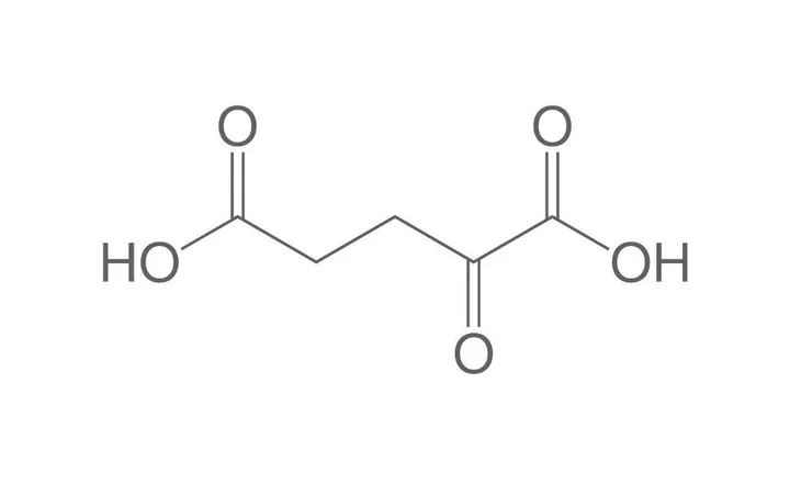 Acid alfa-cetoglutaric, min. 99 %, pentru biochimie, 100 g, plastic — Carl Roth, cod 5901.1
