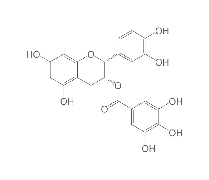 (-)-Epicatechin galat, ROTICHROM® HPLC, 10 mg, sticlă — Carl Roth, cod 6358.1