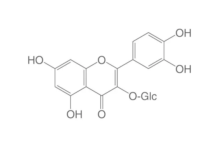 Isoquercitrină, ROTICHROM® CHR, 250 mg, sticlă — Carl Roth, cod 6527.1