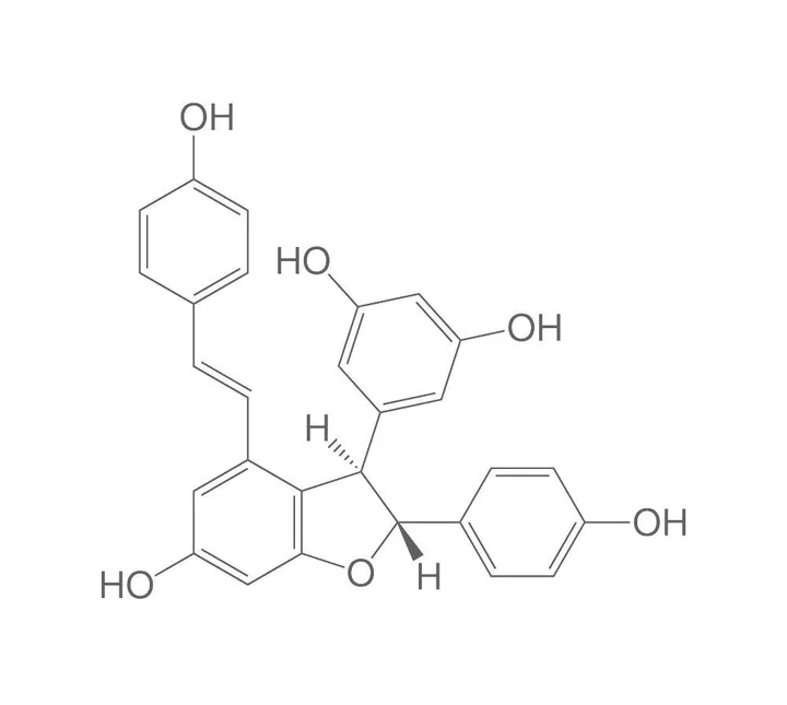 epsilon-Viniferină, ROTICHROM® HPLC, 20 mg, sticlă — Carl Roth, cod 6697.1