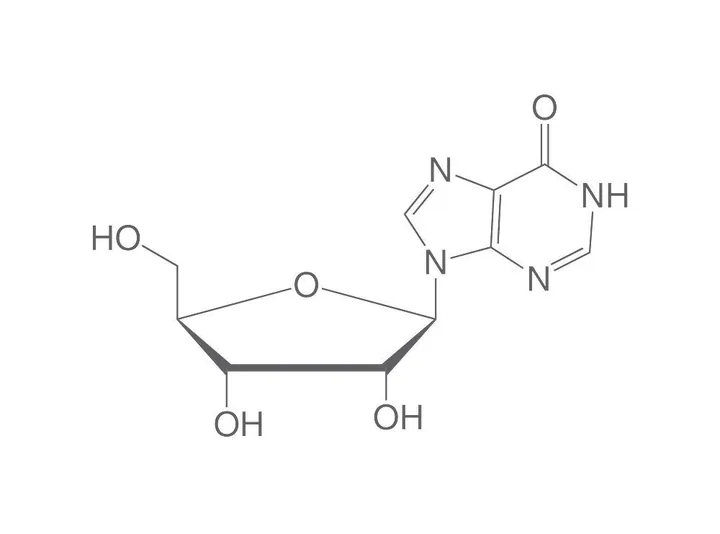 Inozină, min. 98 %, pentru biochimie, 5 g, sticlă — Carl Roth, cod 6770.1